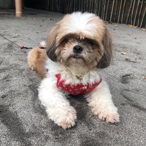 Meet your Posher, Mikhaela